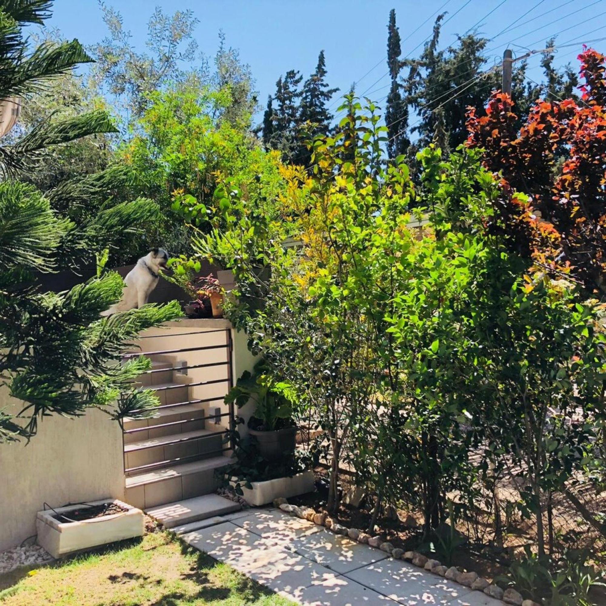 Azure House At Lagonissi 拉格尼西 外观 照片